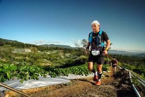 BIB: 9756
                            <button type="button" onclick="openModal(19122160)" class="btn btn-primary btn-sm float-right btn-popup" data-toggle="modal" data-target=".modal-high-quality">
                        <i class="fas fa-shopping-cart"></i> Add to Cart
                    </button>
                                            <button type="button" onclick="isThisMe(19122160, true)" class="btn btn-success btn-sm float-right btn-popup btn-isme hidden" data-toggle="tooltip" data-placement="bottom" title="นี่คือรูปของคุณใช่ไหม คลิกที่นี่เพื่อเอาเข้าอัลบั้ม">
                        <i class="fas fa-plus"></i> Add to album
                    </button>
                    <button type="button" onclick="isThisMe(19122160, false)" class="btn btn-warning btn-sm float-right btn-popup btn-isnotme hidden">
                        <i class="fas fa-ban"></i> Remove from album
                    </button>